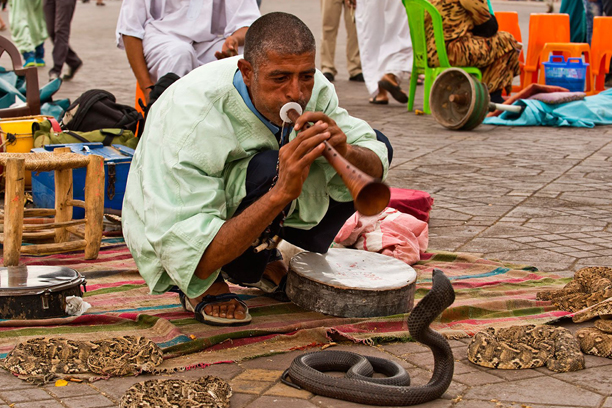 Stadtrundfahrt in Marrakesch